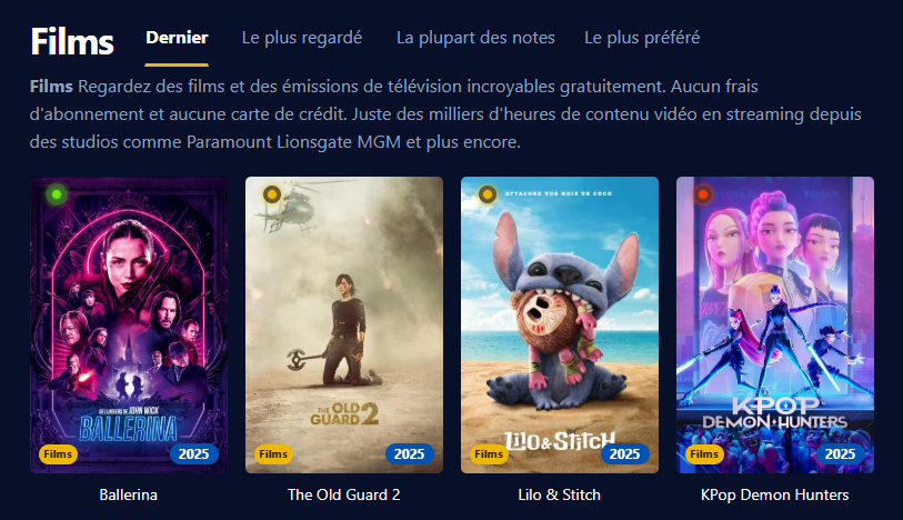 Capture d'écran de l'interface utilisateur de Filmoflix